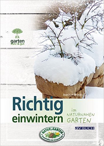 Buch Einwintern AV Verlag
